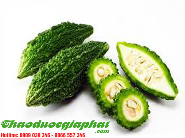 THẢI ĐỘC CƠ THỂ