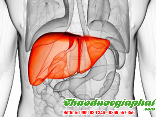 ba-kich-tim-tang-cuong-chuc-nang-gan-tai-quan-7