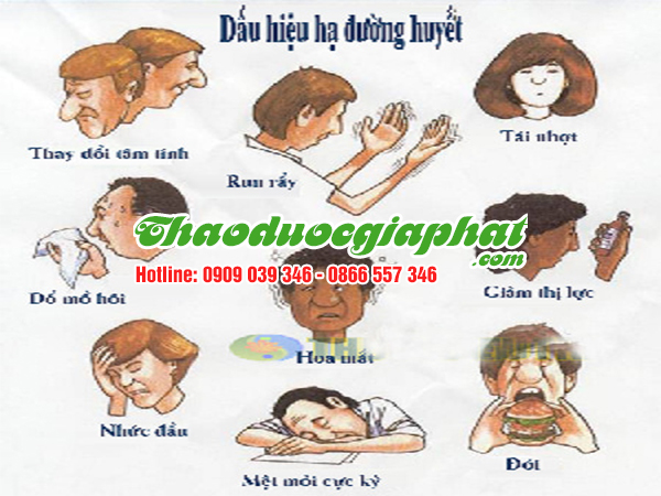 cam-thao-dat-giup-ha-duong-huyet-tai-quan-1