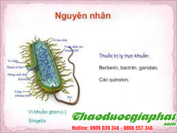 cam-thao-dat-tri-ly-truc-khuan-tai-huyen-nha-be