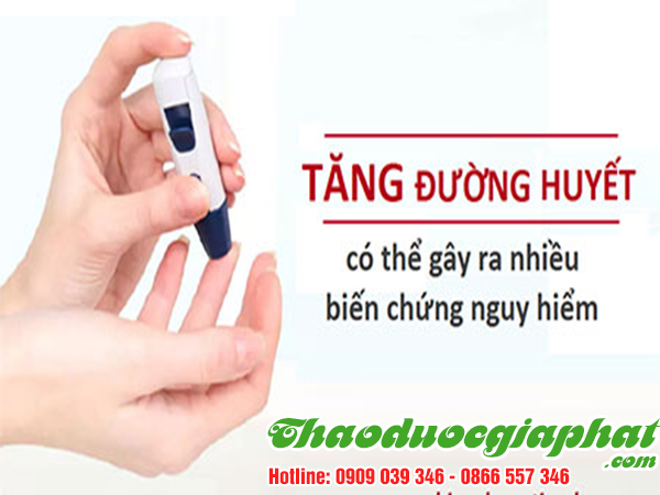 cam-thao-dat-tri-tang-duong-huyet-tai-quan-binh-tan