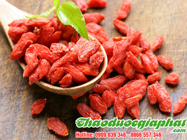 cau-ki-tu-tai-huyen-cu-chi