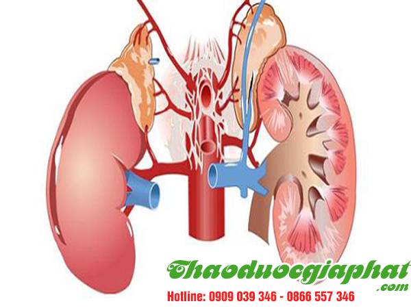 cau-ki-tu-tri-than-hu-tai-quan-binh-thanh