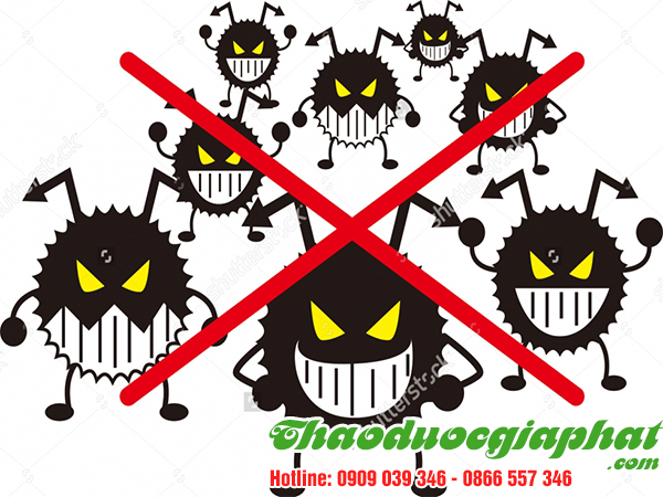 cay-bi-ki-nam-giup-khang-khuan-tai-quan-go-vap