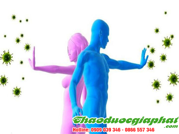 cay-bi-ki-nam-giup-ngan-ngua-ung-thu-tai-quan-thu-duc