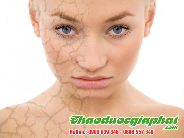 cay-chia-voi-quan-8-giup-giai-doc-co-the