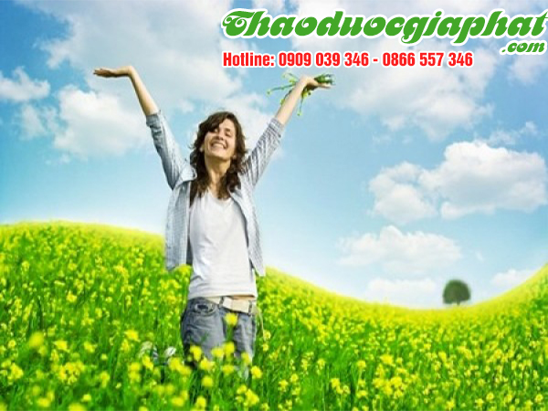 cay-coi-xay-giup-thanh-nhiet-co-the-tai-quan-binh-tan