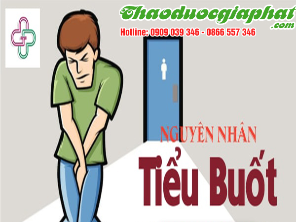 cay-coi-xay-tri-tieu-buot-tai-huyen-hoc-mon