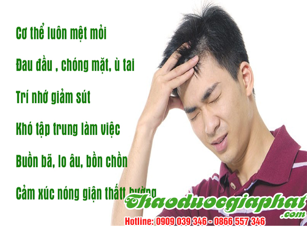 cay-hoang-ky-tri-suy-nhuoc-co-the-tai-quan-tan-binh