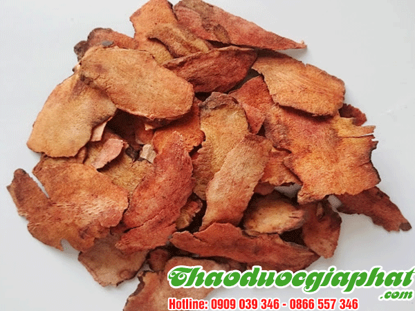 cu-khuc-khac-tai-huyen-can-gio-tot-nhat