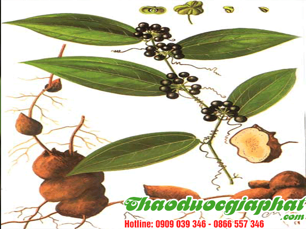 cu-khuc-khac-tot-nhat-tai-quan-5