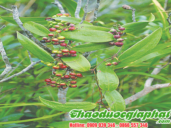cu-khuc-khac-tai-quan-binh-thanh-tot-nhat