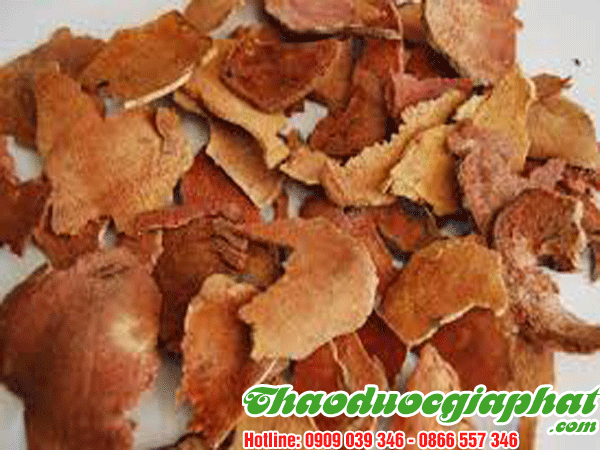 cu-khuc-khac-tai-quan-thu-duc-tot-nhat