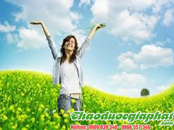 cay-mach-mon-giup-thanh-nhiet-giai-doc-tai-quan-11
