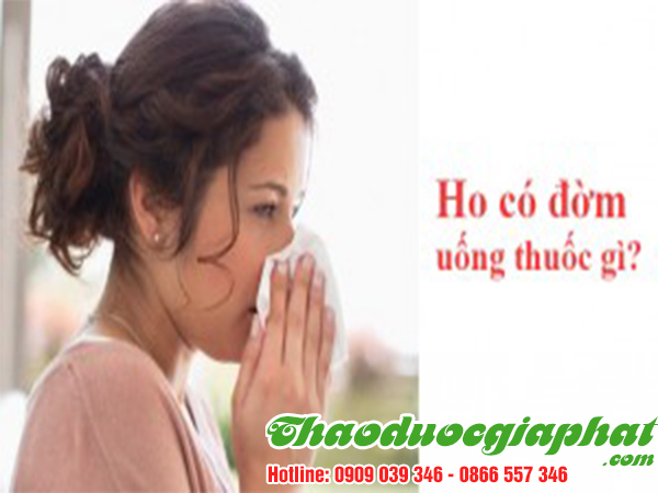 cay-tam-gui-tri-ho-co-dom-tai-quan-binh-tan