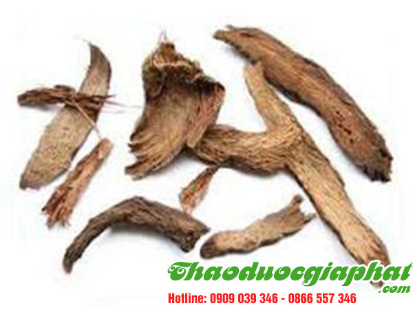cay-tom-trong-tai-quan-tan-binh