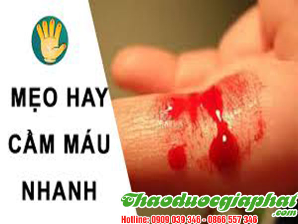 cay-xuong-khi-giup-cam-mau-tai-quan-7