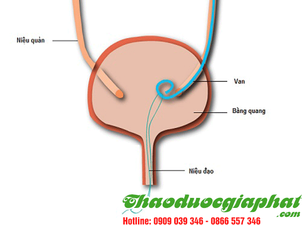 dieu-tri-di-nieu-hieu-qua-tai-quan-tan-binh
