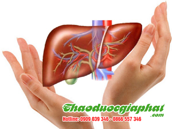 giai-doc-mat-gan-tai-quan-2