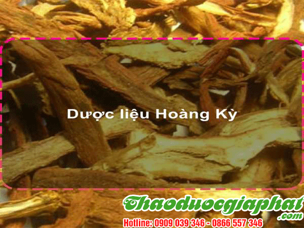 hoang-ky-huyen-can-gio