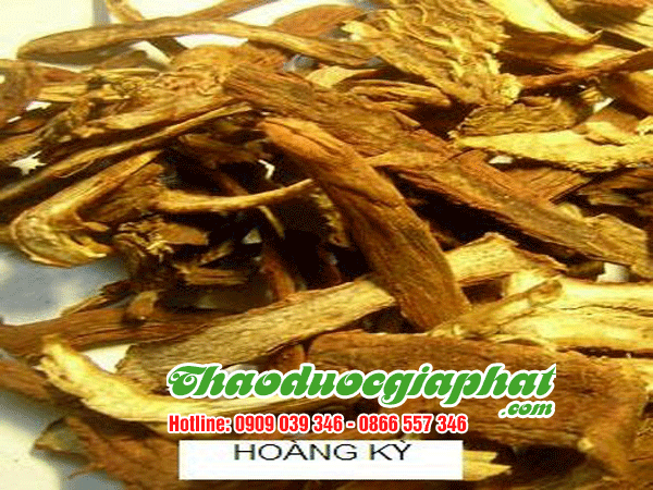hoang-ky-quan-7