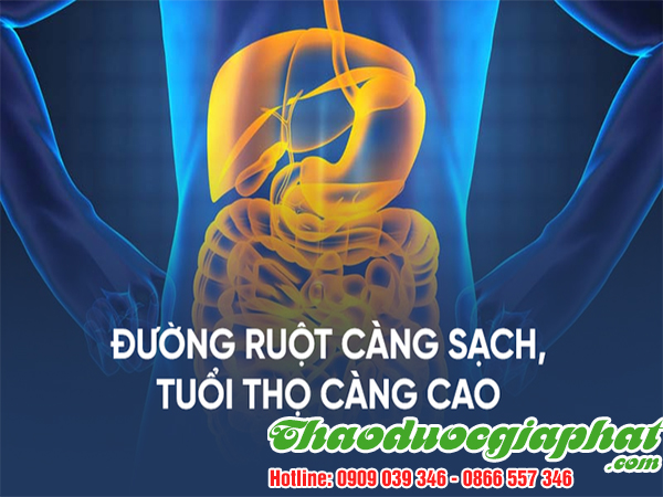 la-mang-cau-giup-ve-sinh-duong-ruot-tai-quan-binh-thanh