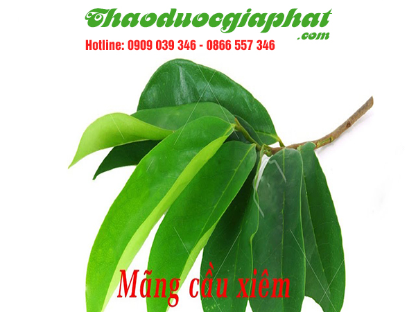 la-mang-cau-tai-huyen-hoc-mon