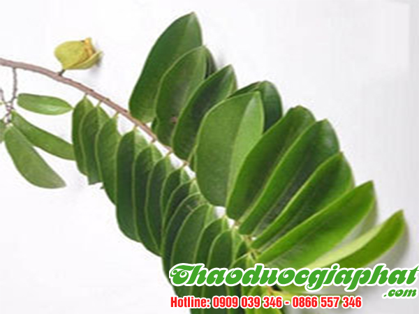 la-mang-cau-tai-quan-binh-thanh