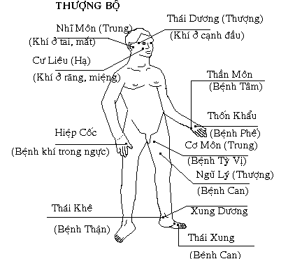 thang-thuoc-minh-mang-giup-manh-ti-vi-tot-nhat-tai-quan-8