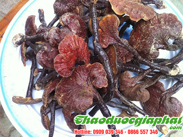 nam-lim-xanh-tai-quan-1