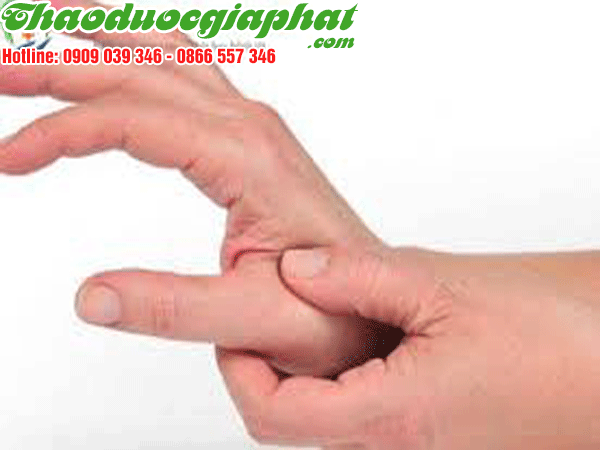 cay-kien-co-tri-nhuc-gan-tot-nhat-tai-quan-8
