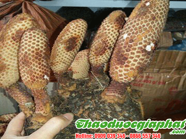 nhuc-thung-dung-tai-huyen-nha-be