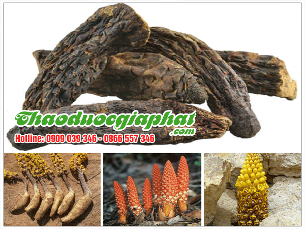 nhuc-thung-dung-tai-quan-2