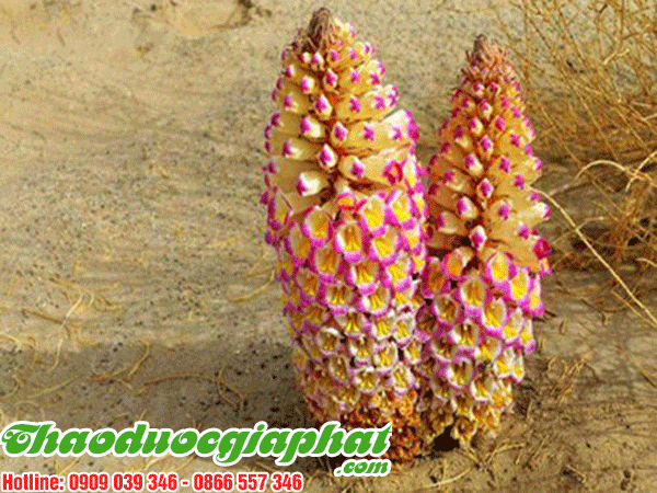 nhuc-thung-dung-tai-quan-3