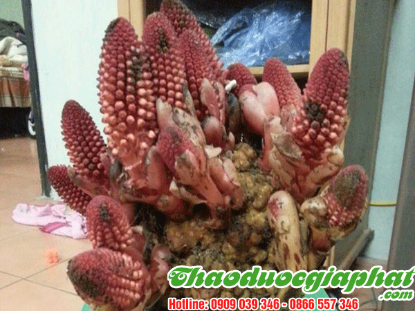 nhuc-thung-dung-tai-quan-4