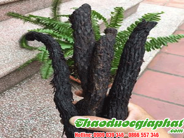 nhuc-thung-dung-tai-quan-5