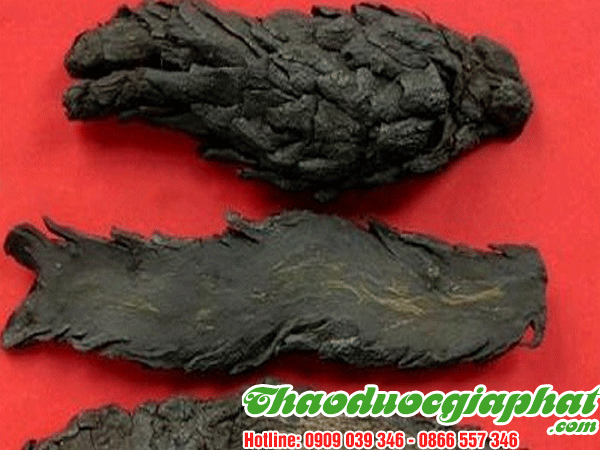 nhuc-thung-dung-tai-quan-6