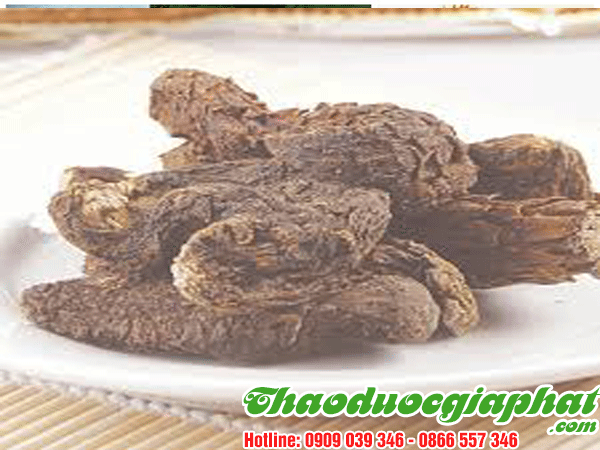 nhuc-thung-dung-tai-quan-8.