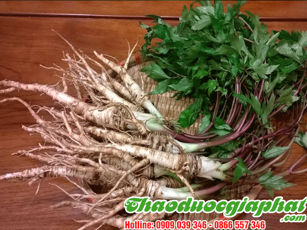 sam-duong-quy-huyen-binh-chanh