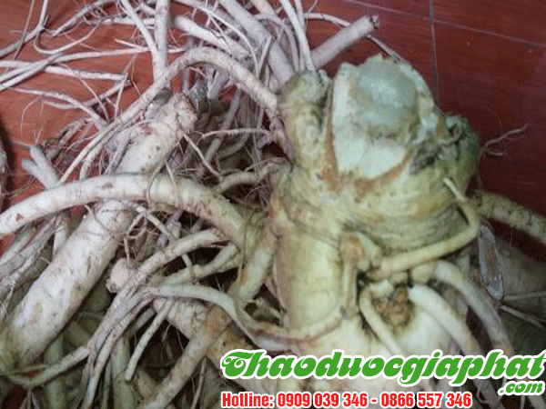 sam-duong-quy-quan-5