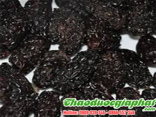 tao-den-tai-quan-tan-binh