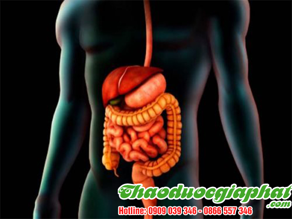 tao-meo-giup-kich-thich-tieu-hoa-tai-quan-thu-duc