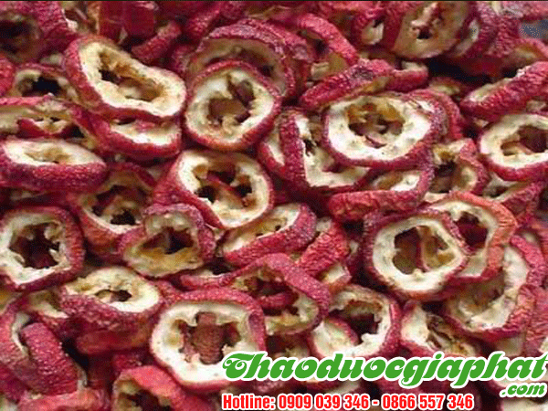 tao-meo-tai-huyen-cu-chi