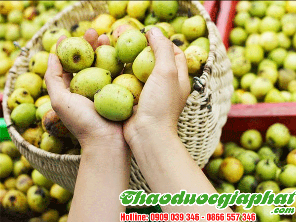 tao-meo-tai-quan-binh-tan