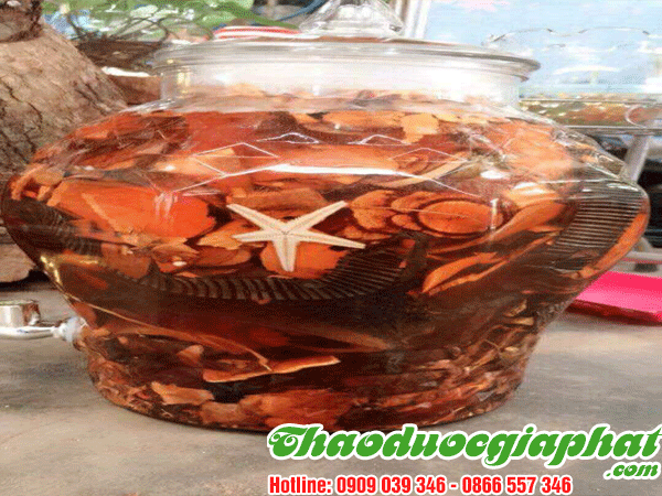 thang-thuoc-minh-mang-tot-nhat-tai-huyen-hoc-mon