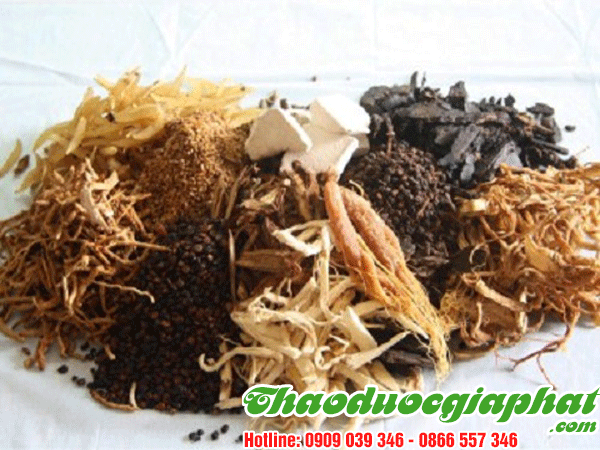 thang-thuoc-minh-mang-tot-nhat-tai-quan-8