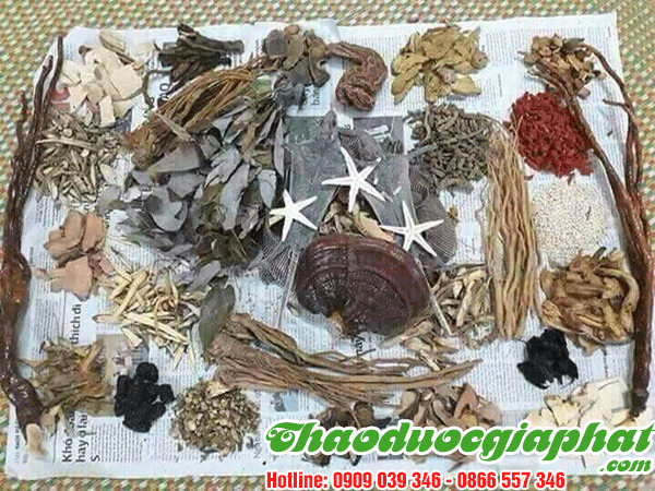 thang-thuoc-minh-mang-tot-nhat-tai-quan-go-vap