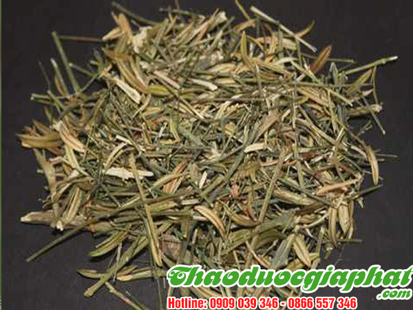 xuyen-tam-lien-huyen-nha-be