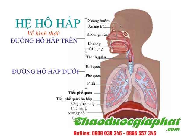 xuyen-tam-lien-tri-viem-duong-ho-hap-tai-huyen-can-gio
