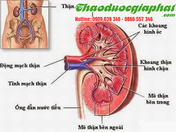 xuyen-tam-lien-tri-viem-than-cap-tai-quan-9